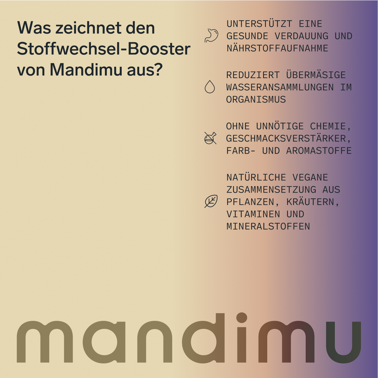 Stoffwechsel-Booster – 60 Kapseln, vegan