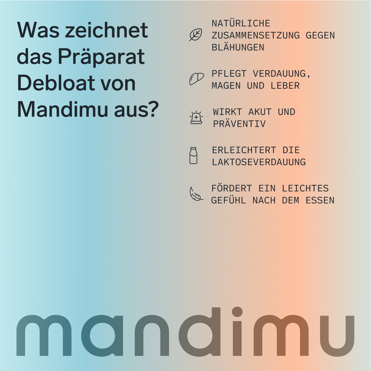 Bläh-Stopp (Debloat) – 60 Kapseln, vegan