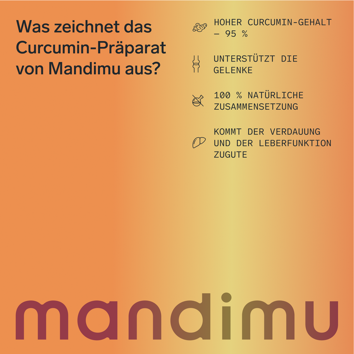 Curcumin – 90 Kapseln