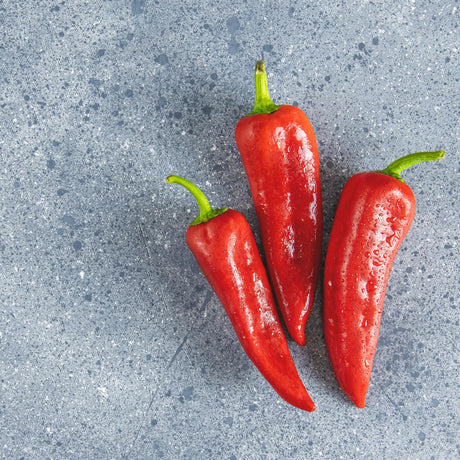 Gemüsepaprika