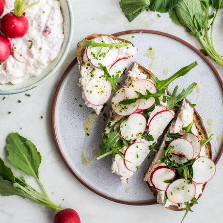 Radieschen-Aufstrich