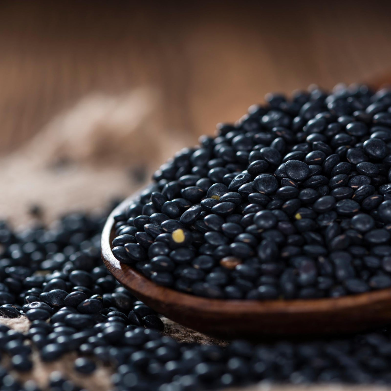 Schwarze Linsen
