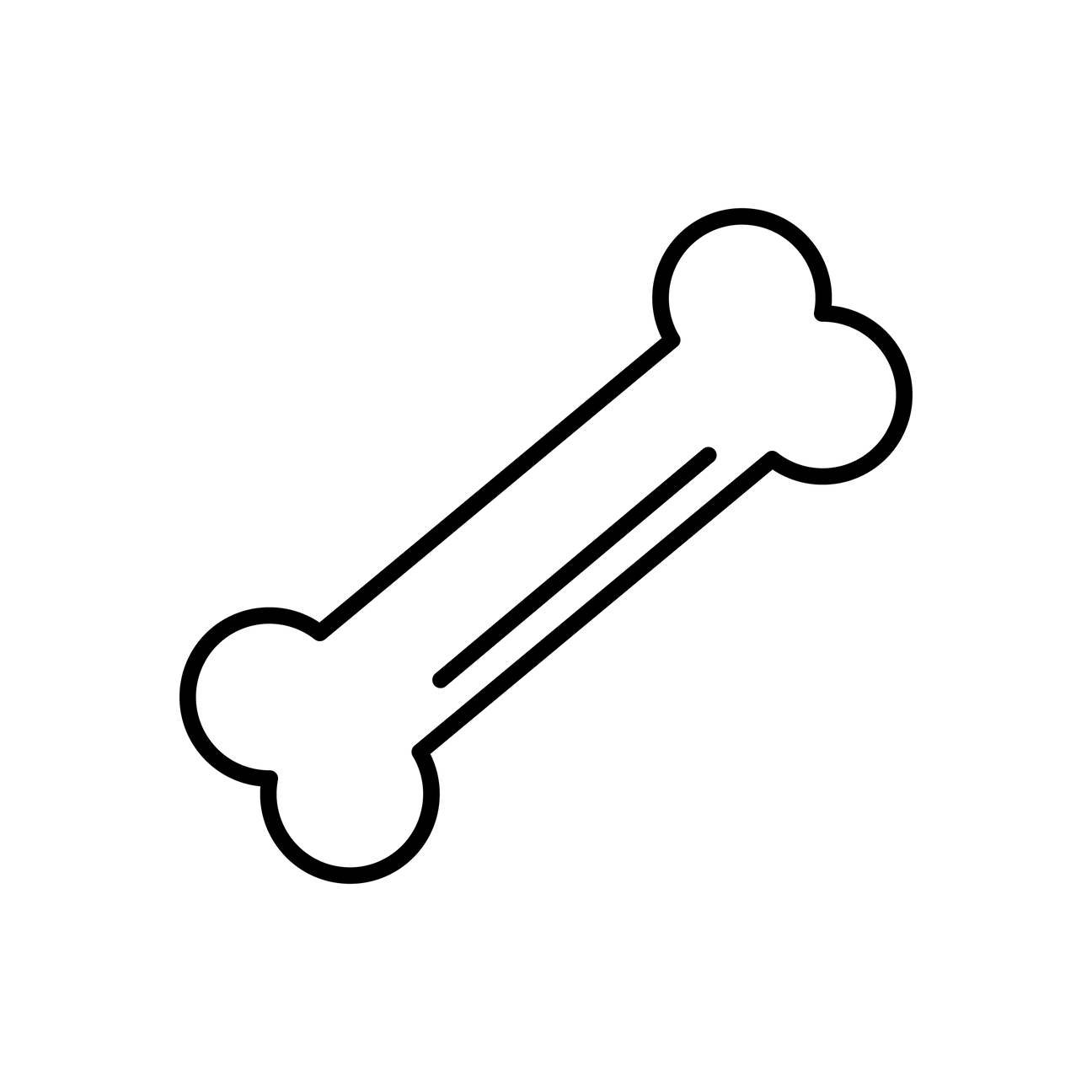 Knochen