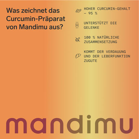 Curcumin – 90 Kapseln