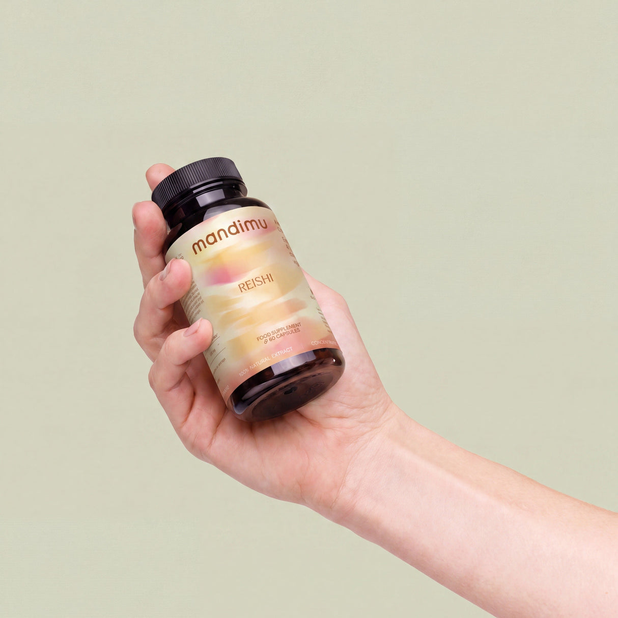 Reishi Premium Pilz-Extrakt – 60 Kapseln, hochdosiert