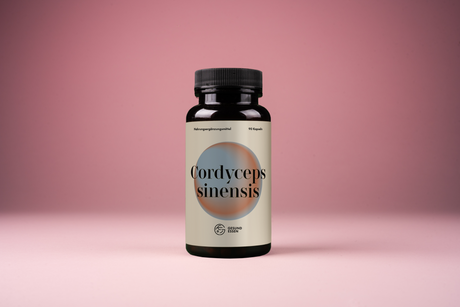 Cordyceps sinensis – 90 Kapseln