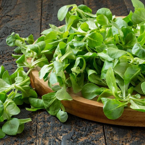 Feldsalat