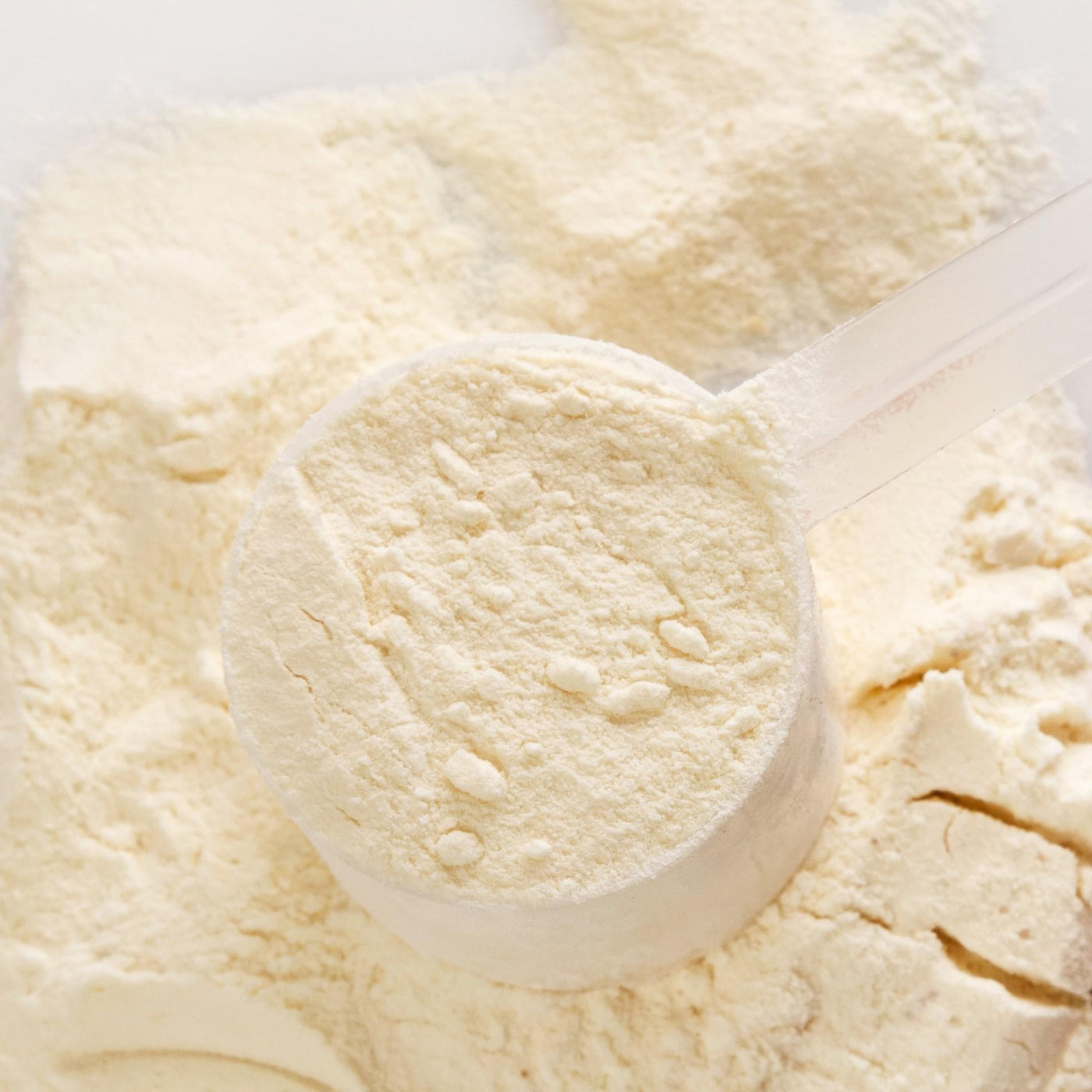 Molkenprotein