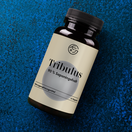 Tribulus terrestris (Erd-Burzeldorn) – 60 Kapseln, vegan