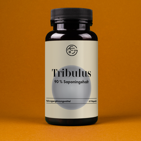 Tribulus terrestris (Erd-Burzeldorn) – 60 Kapseln, vegan